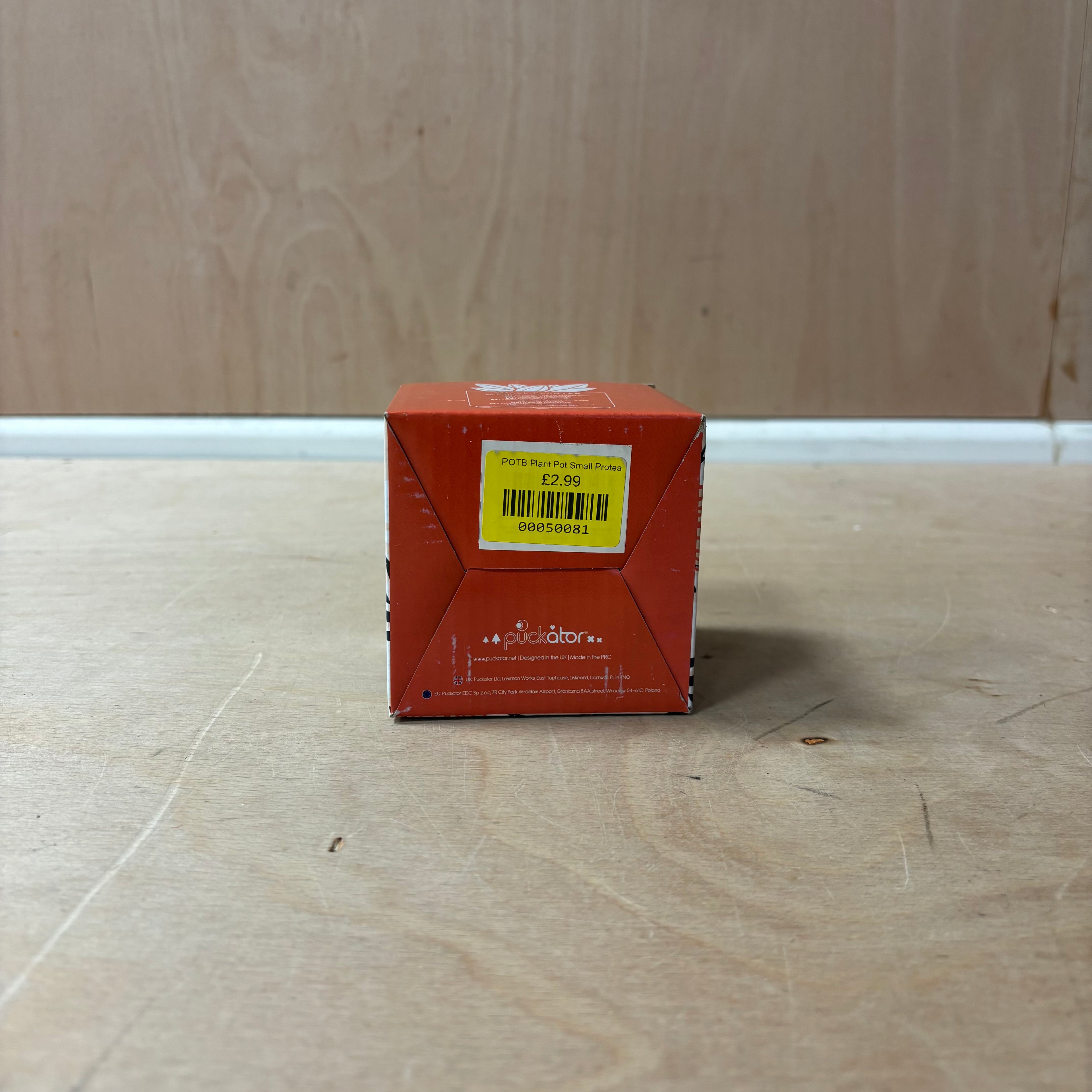 Protea ceramic indoor plant pot