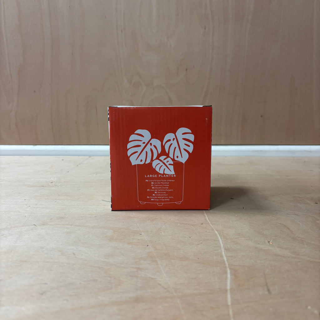 Protea ceramic indoor plant pot