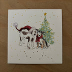 Cosy christmas cats / cosy companion 10 pack christmas cards