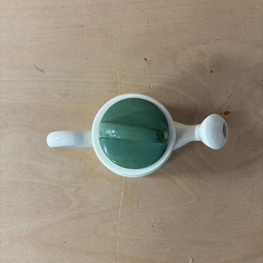 Sass & belle watering can teapot