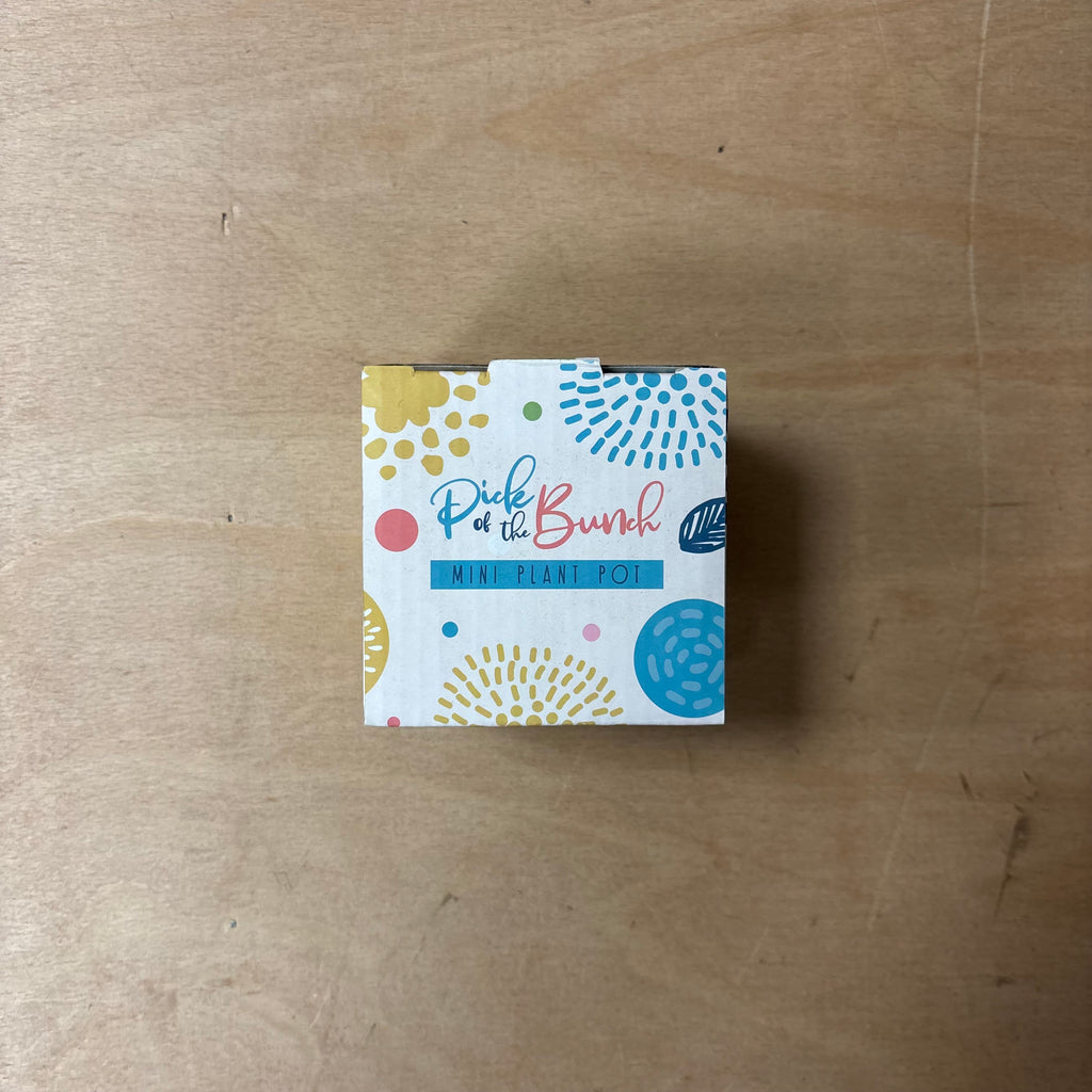 Wisewood ceramic indoor plant pot