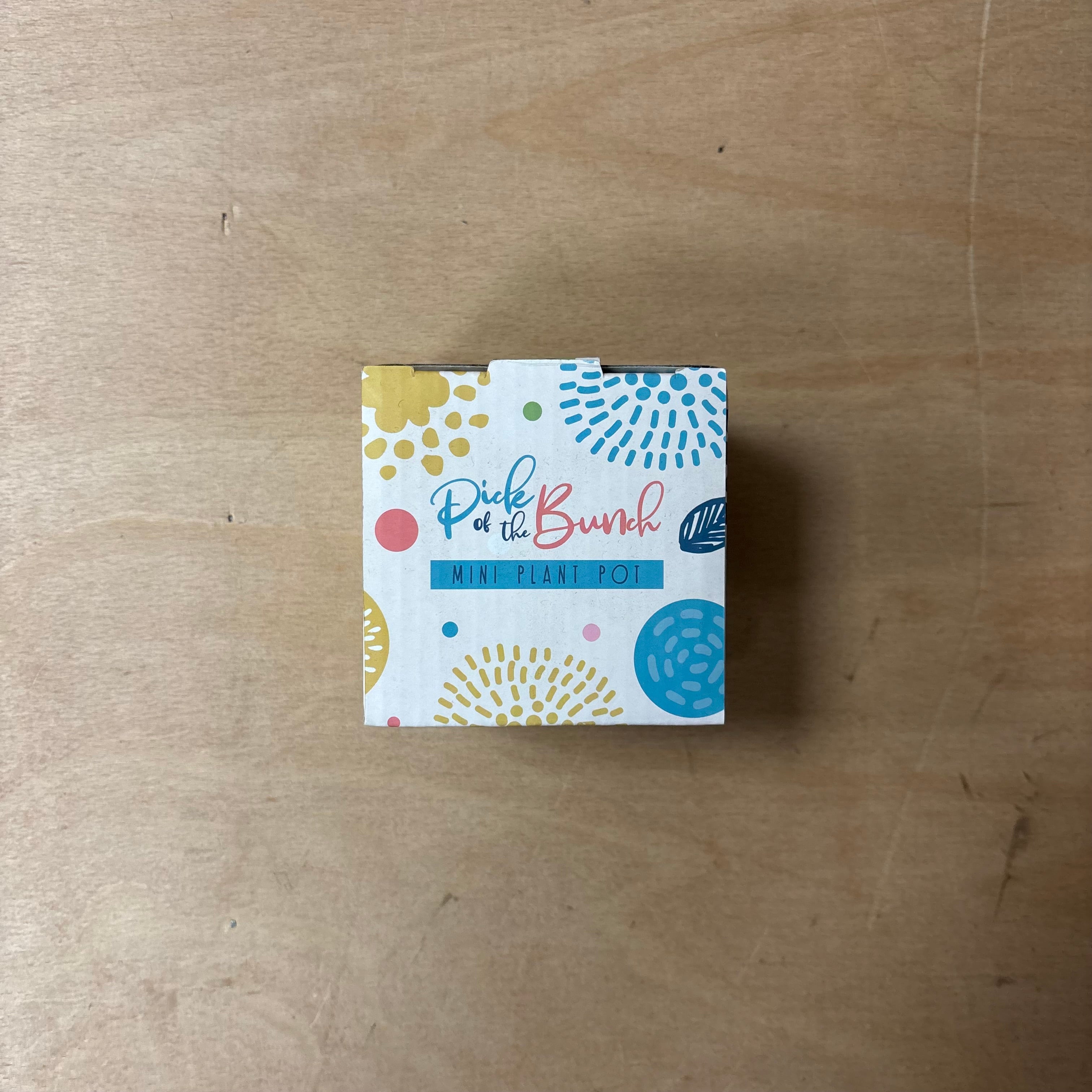 Wisewood ceramic indoor plant pot