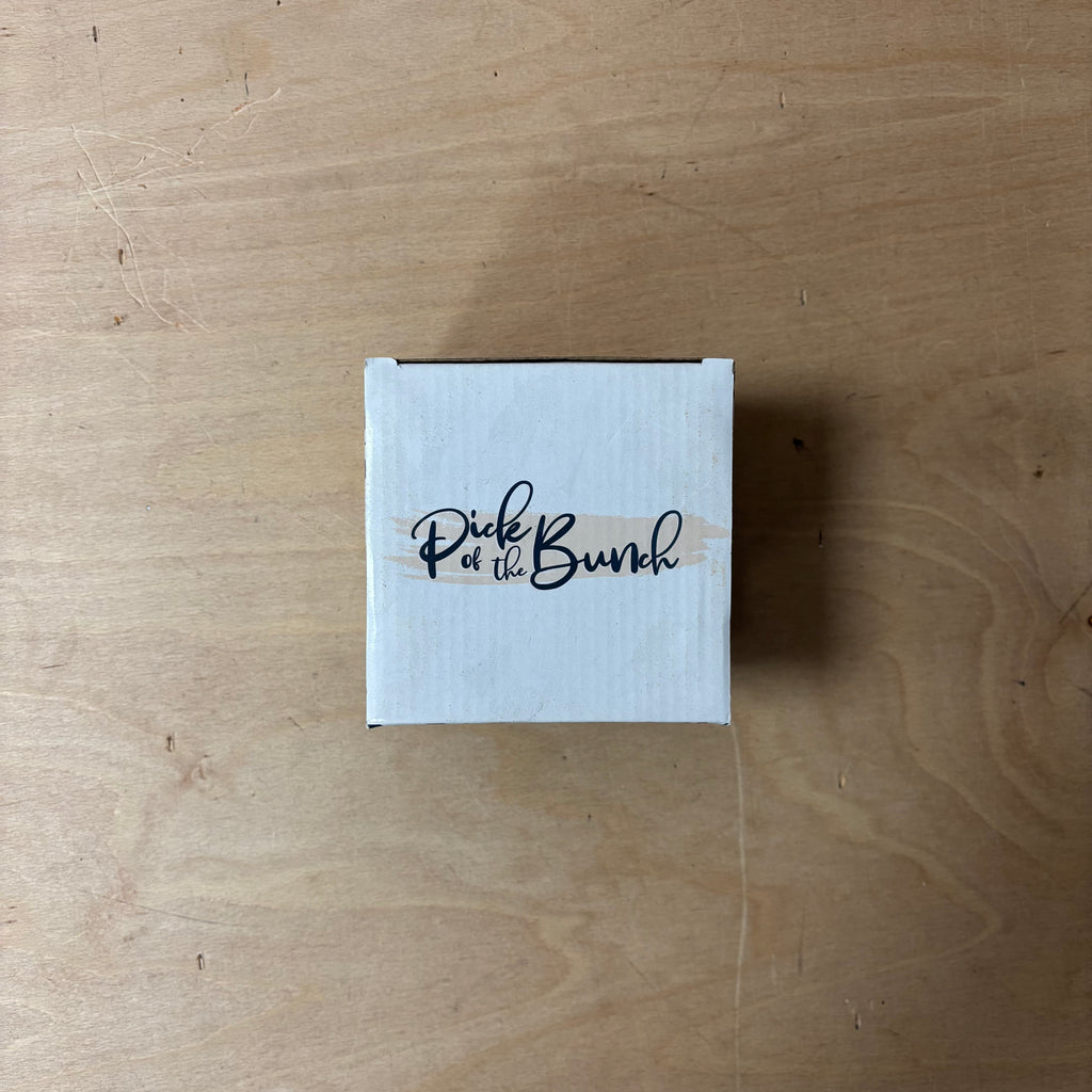 Protea ceramic indoor plant pot