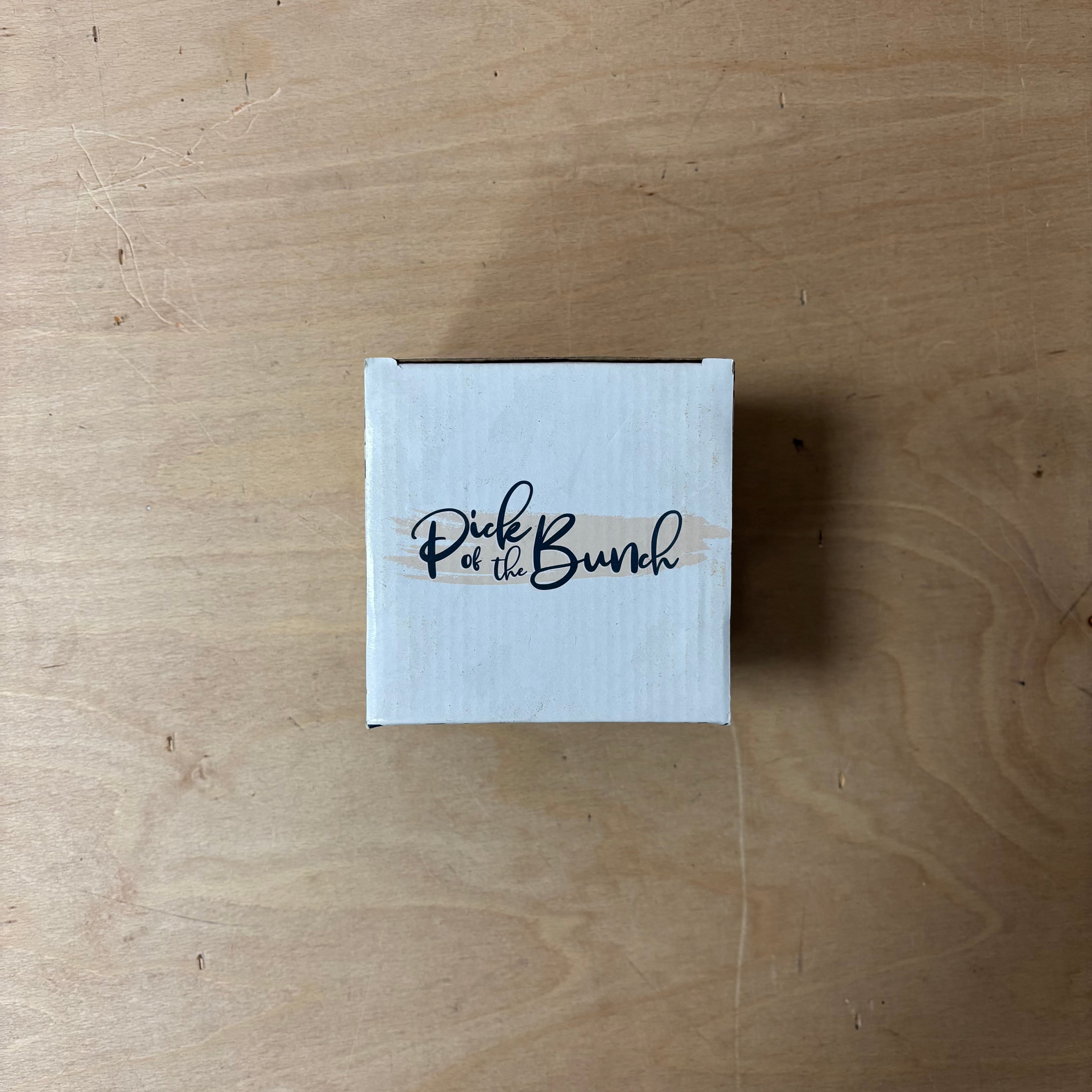 Protea ceramic indoor plant pot