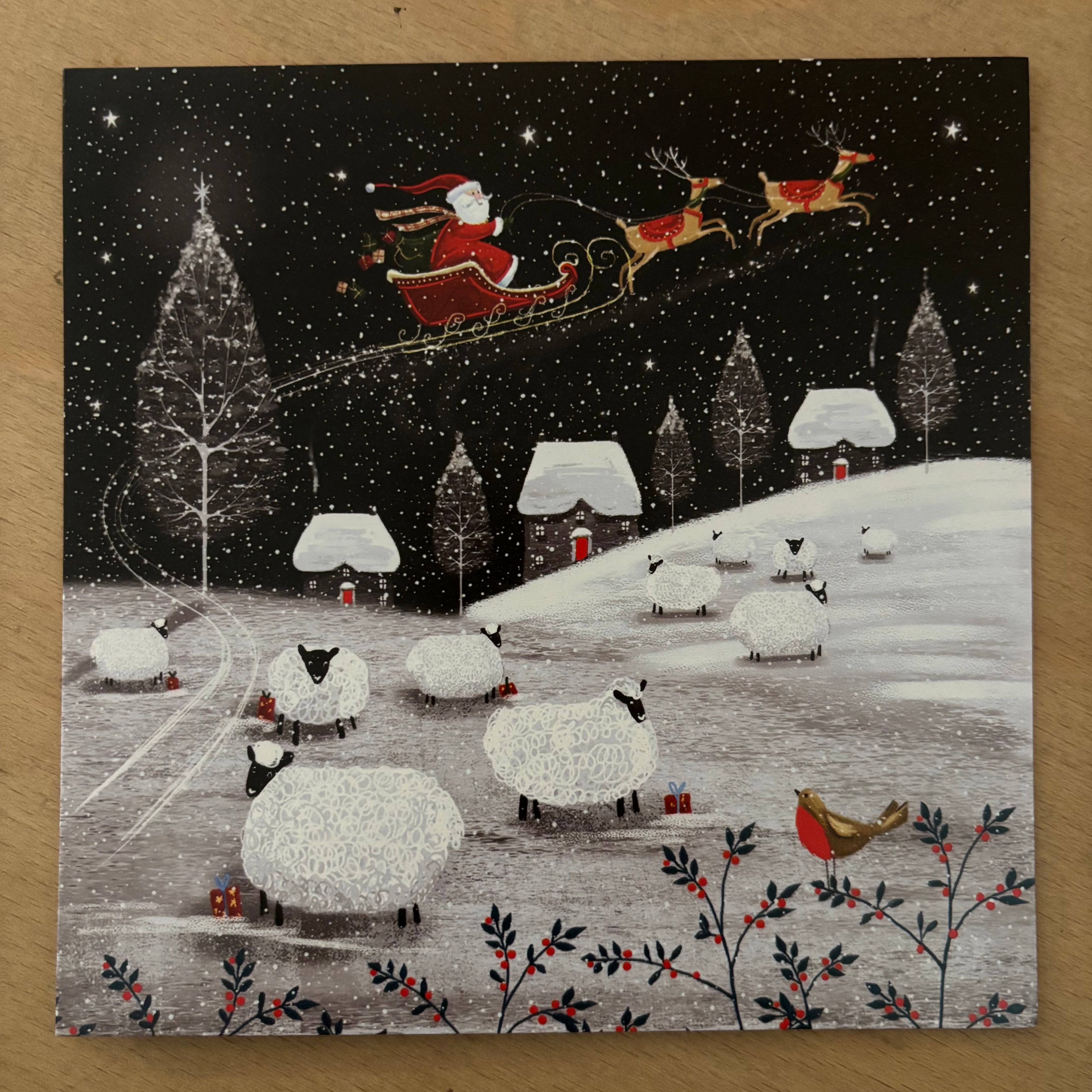 Flying over the fields 10 pack christmas cards