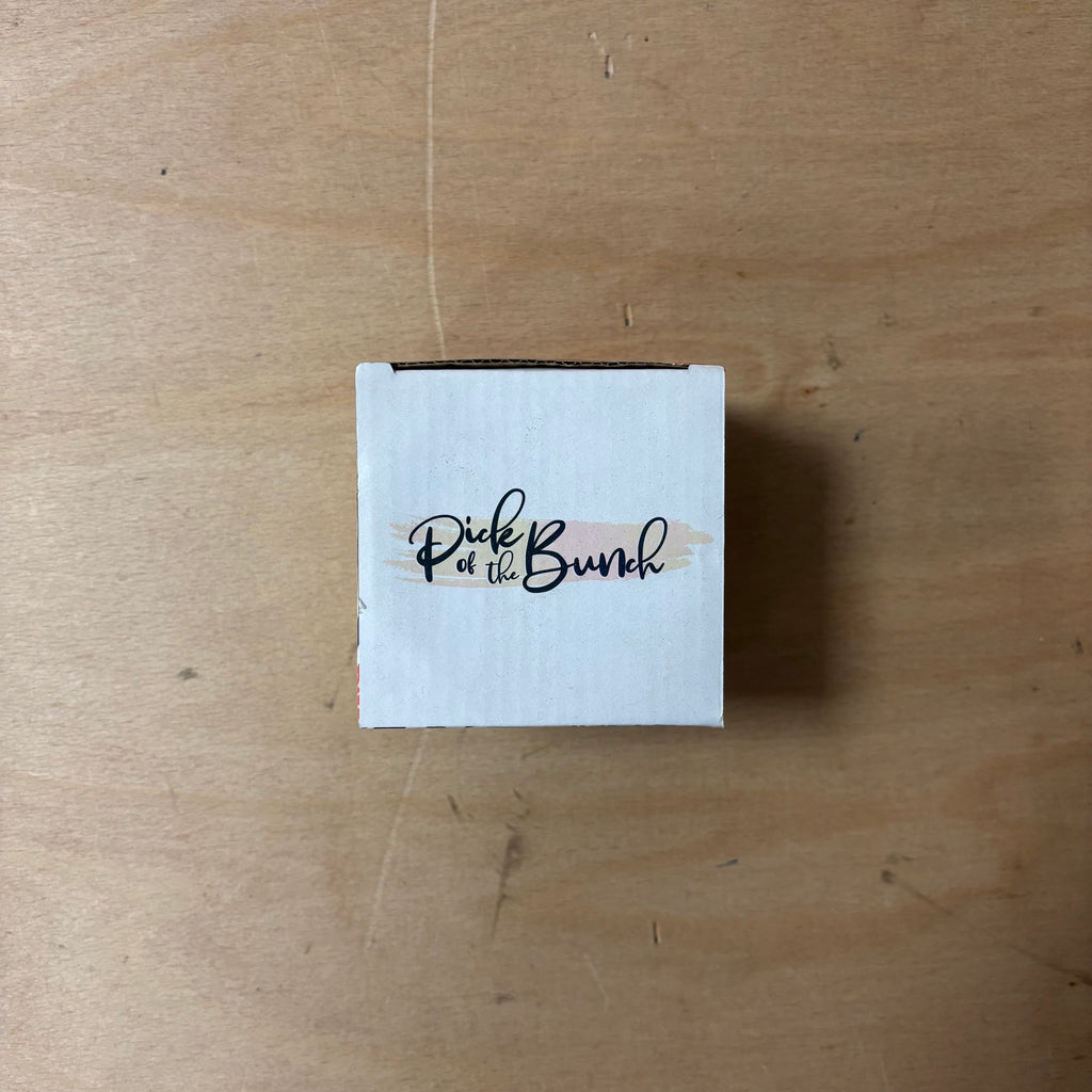 Protea ceramic indoor plant pot