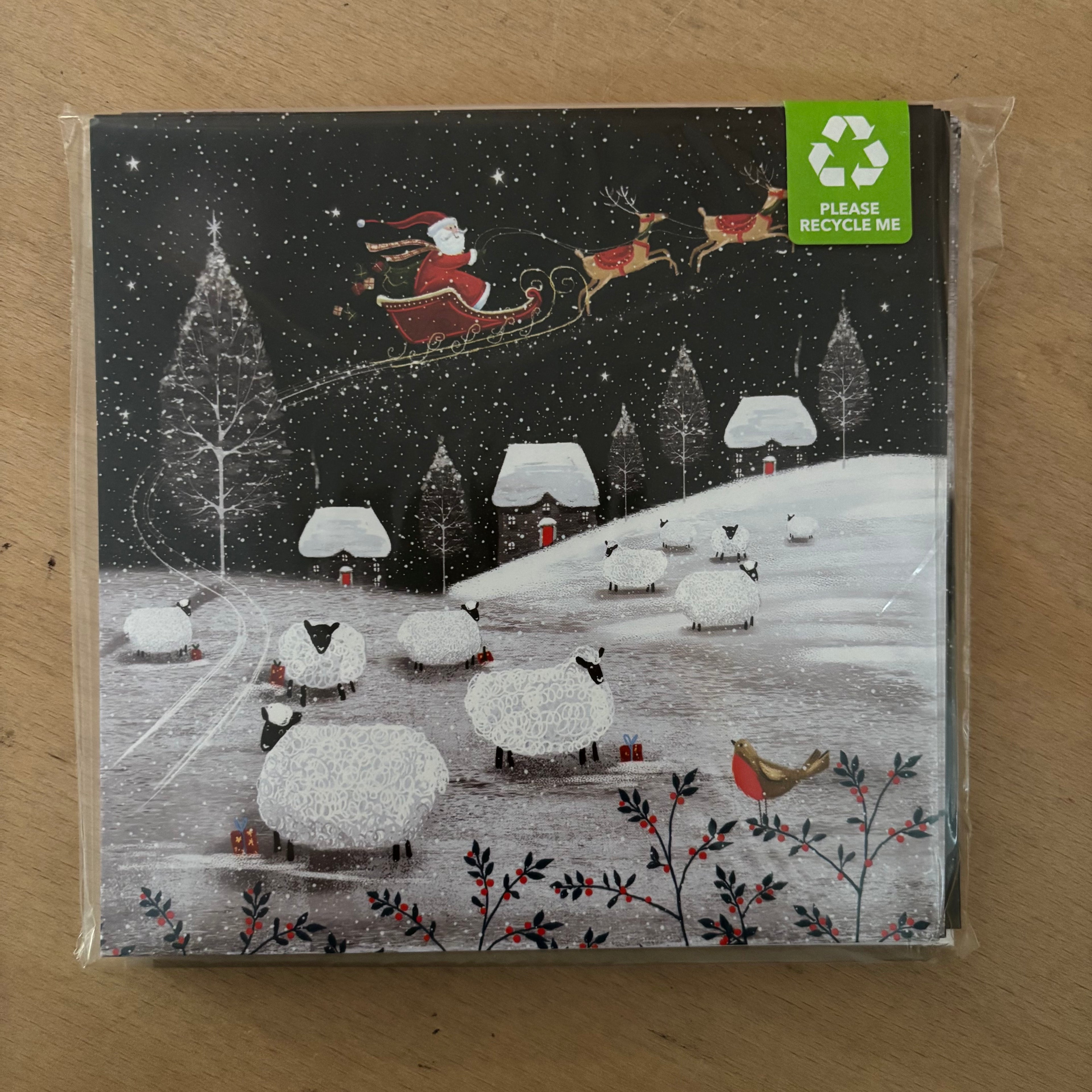 Flying over the fields 10 pack christmas cards