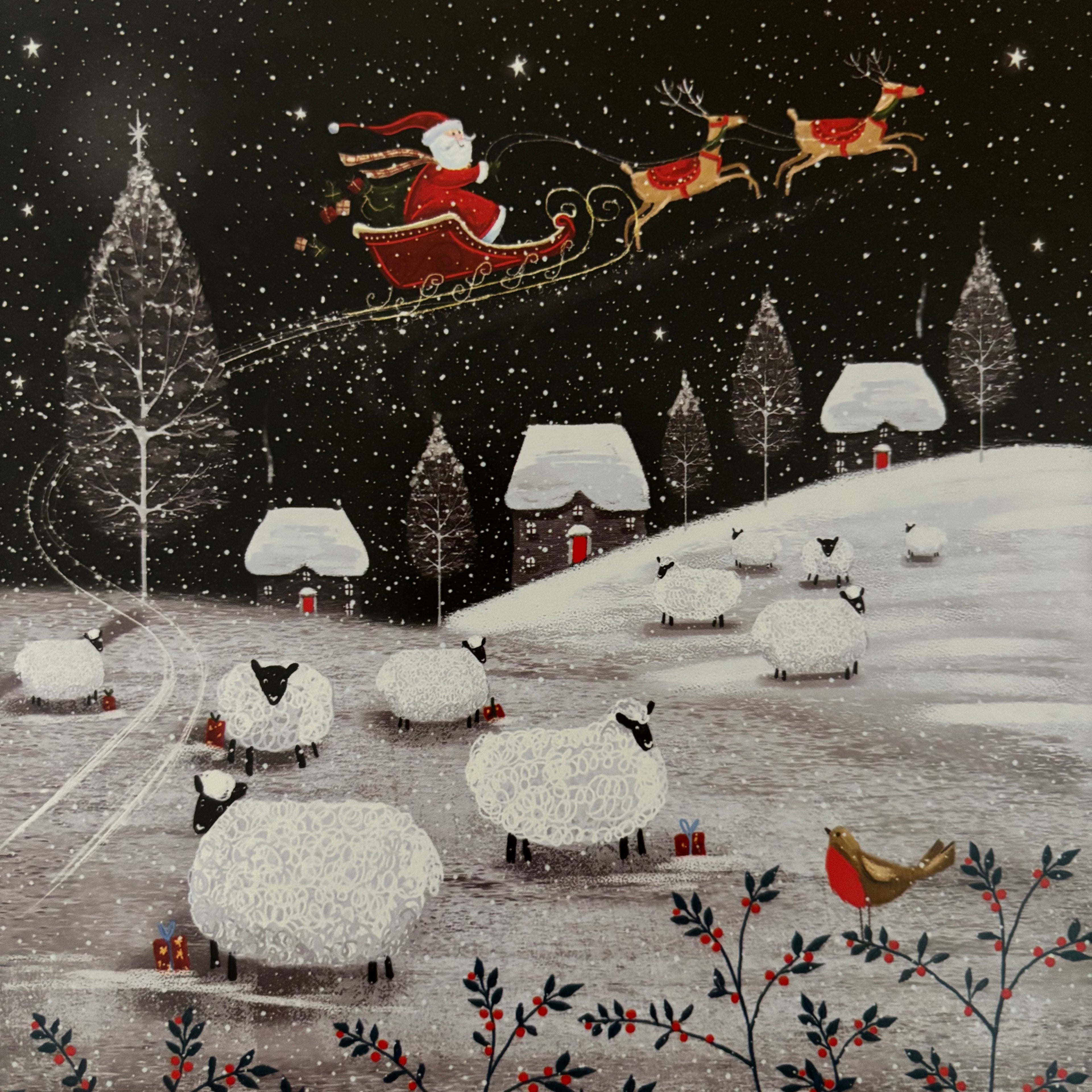 Flying over the fields 10 pack christmas cards