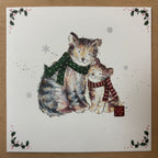 Cosy christmas cats / cosy companion 10 pack christmas cards