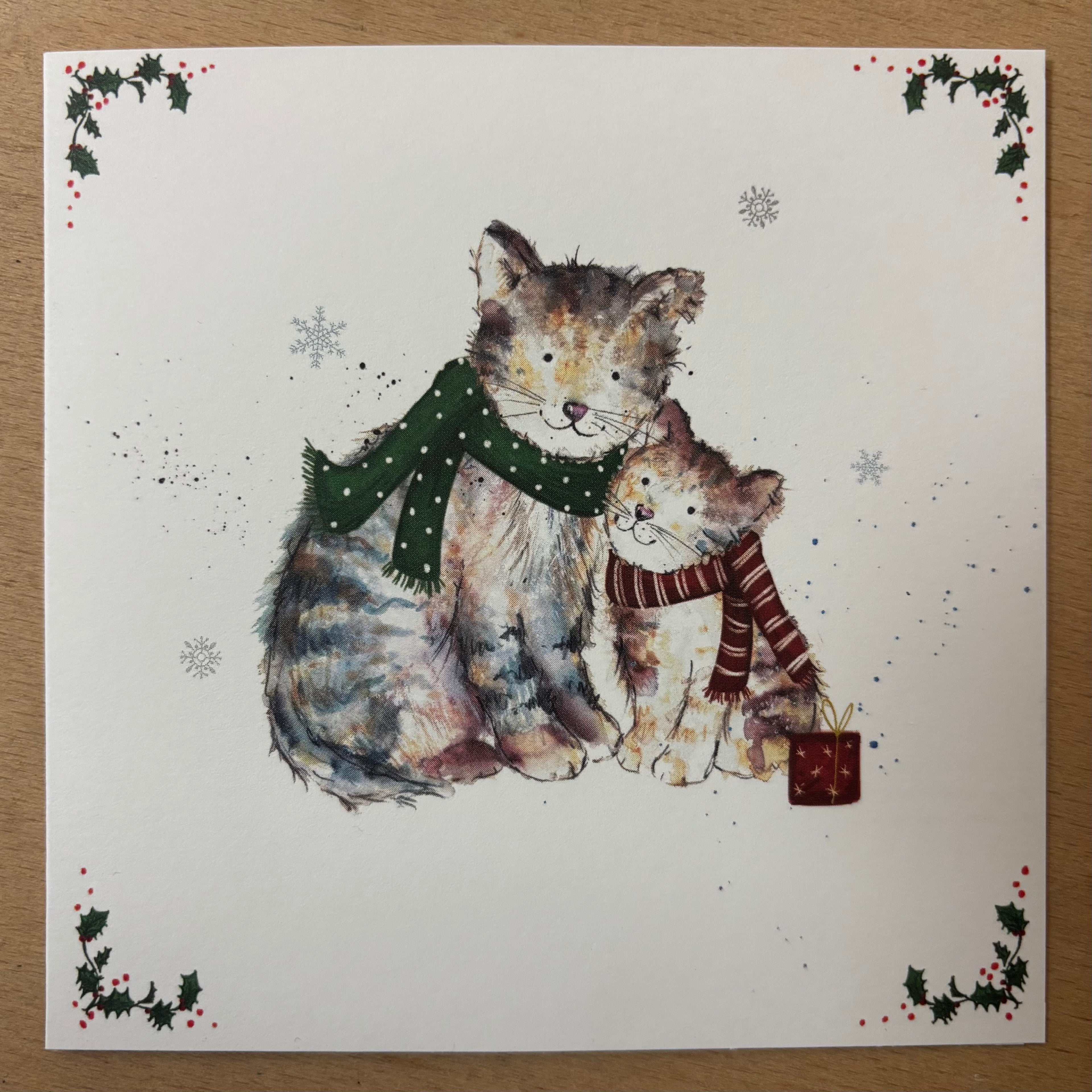 Cosy christmas cats / cosy companion 10 pack christmas cards