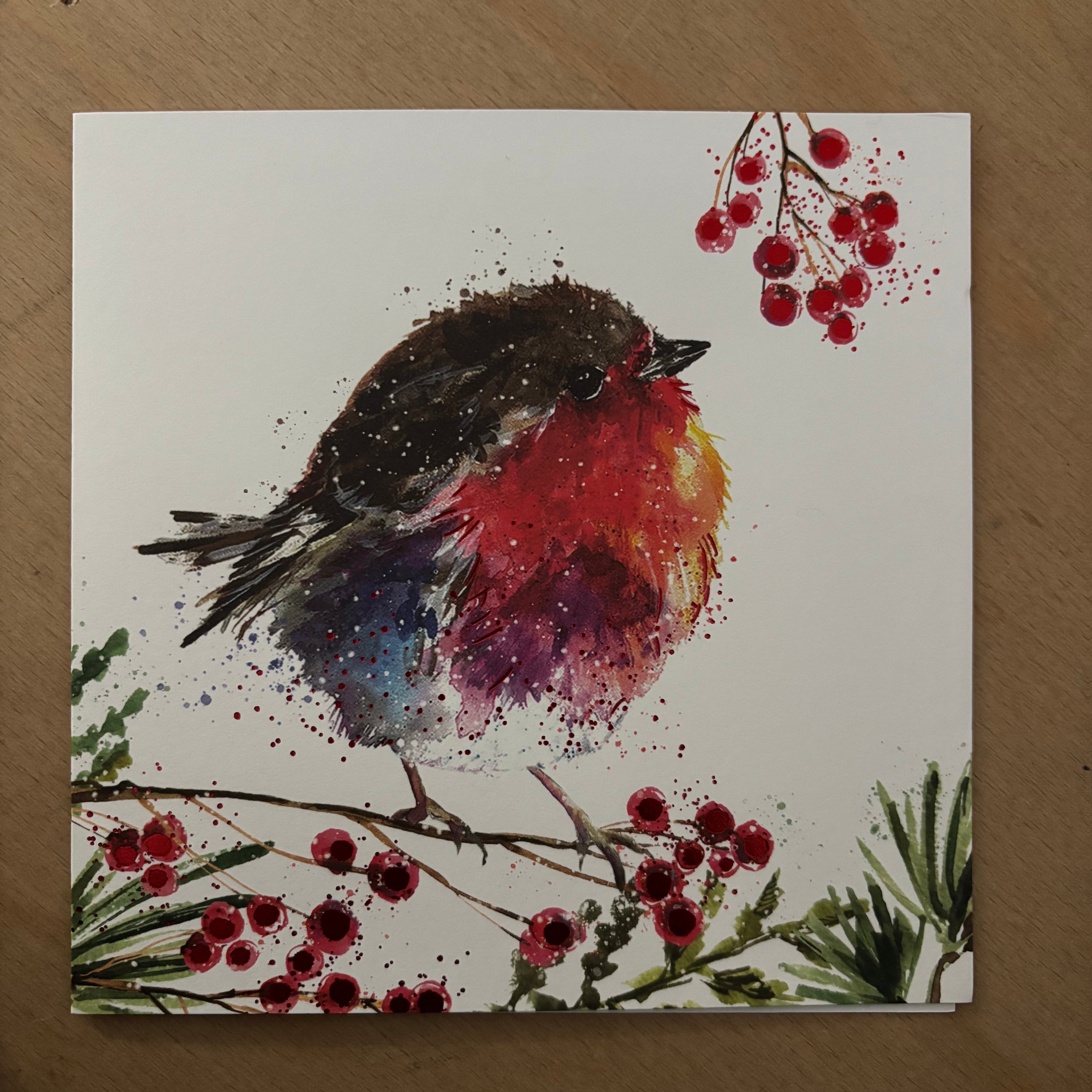 Fluffy robin on a berry branch 10 pack christmas cards