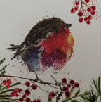 Fluffy robin on a berry branch 10 pack christmas cards