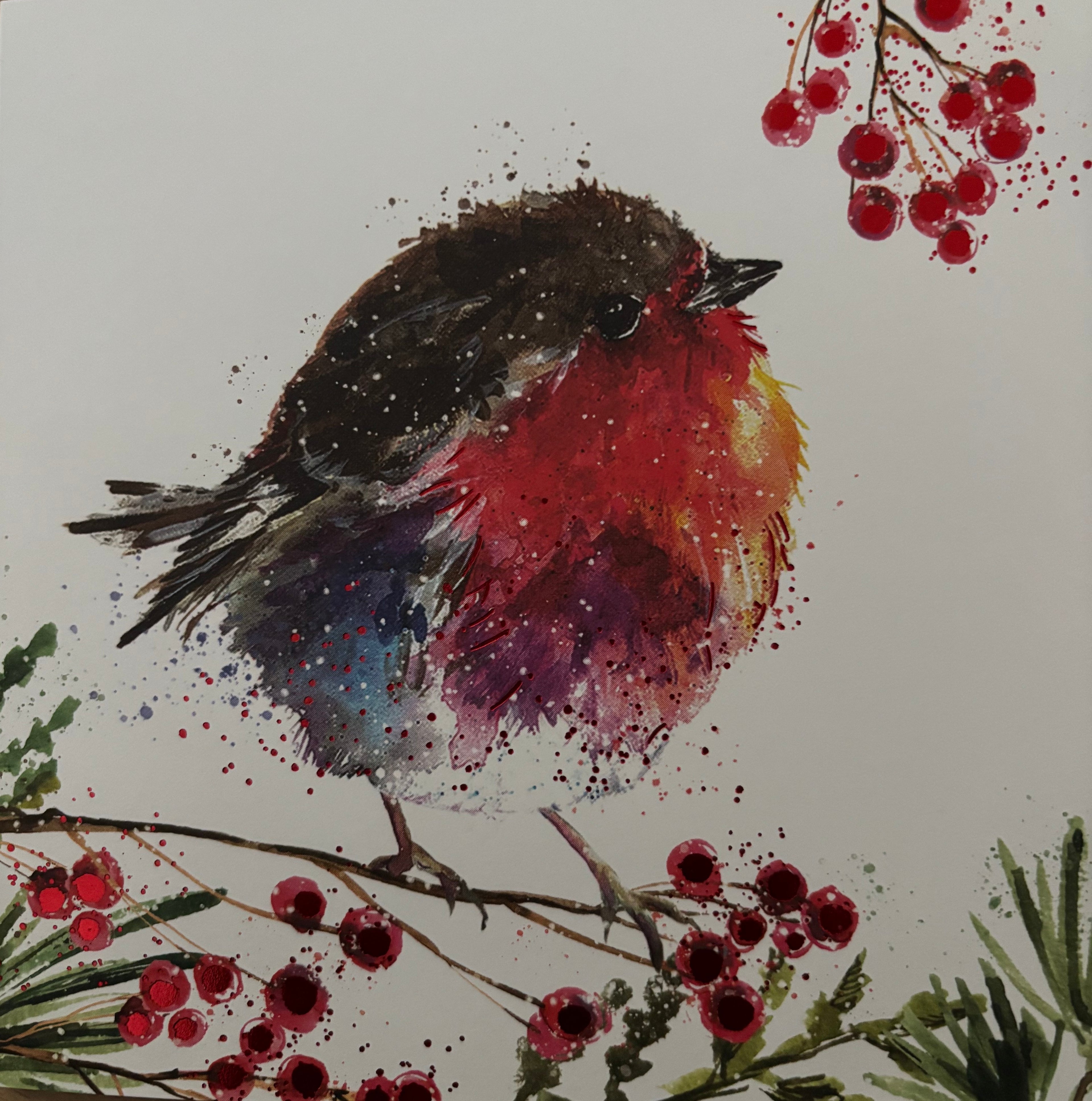 Fluffy robin on a berry branch 10 pack christmas cards