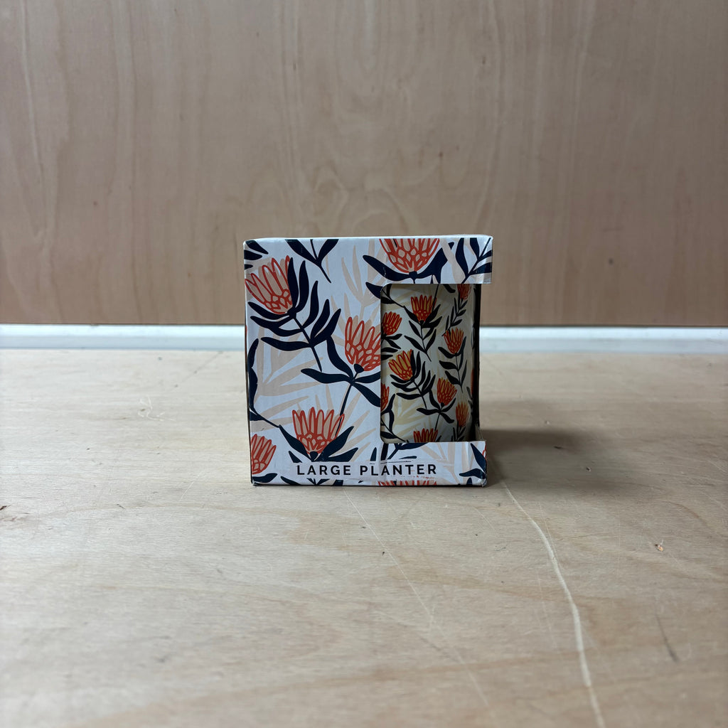 Protea ceramic indoor plant pot