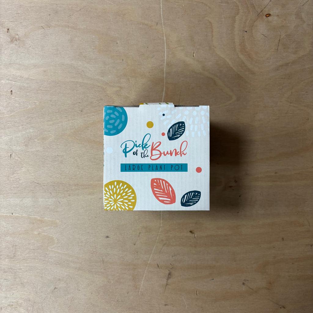 Poppy fields ceramic indoor plant pot