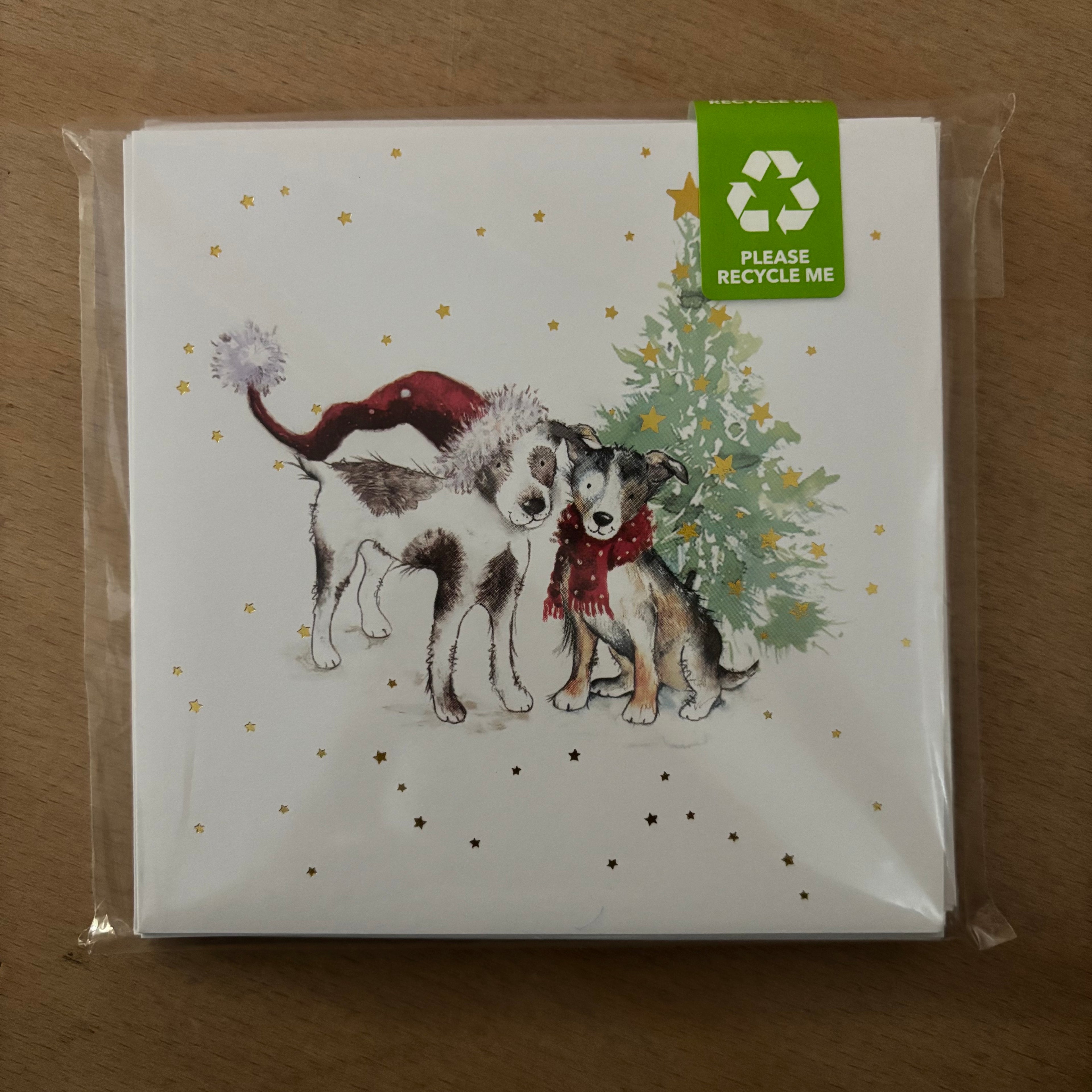 Cosy christmas cats / cosy companion 10 pack christmas cards