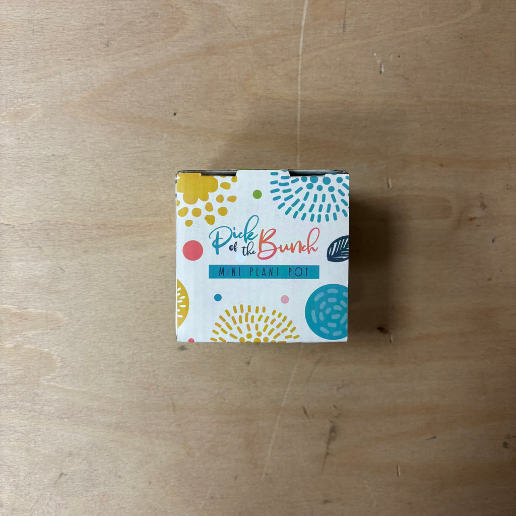 Poppy fields ceramic indoor plant pot