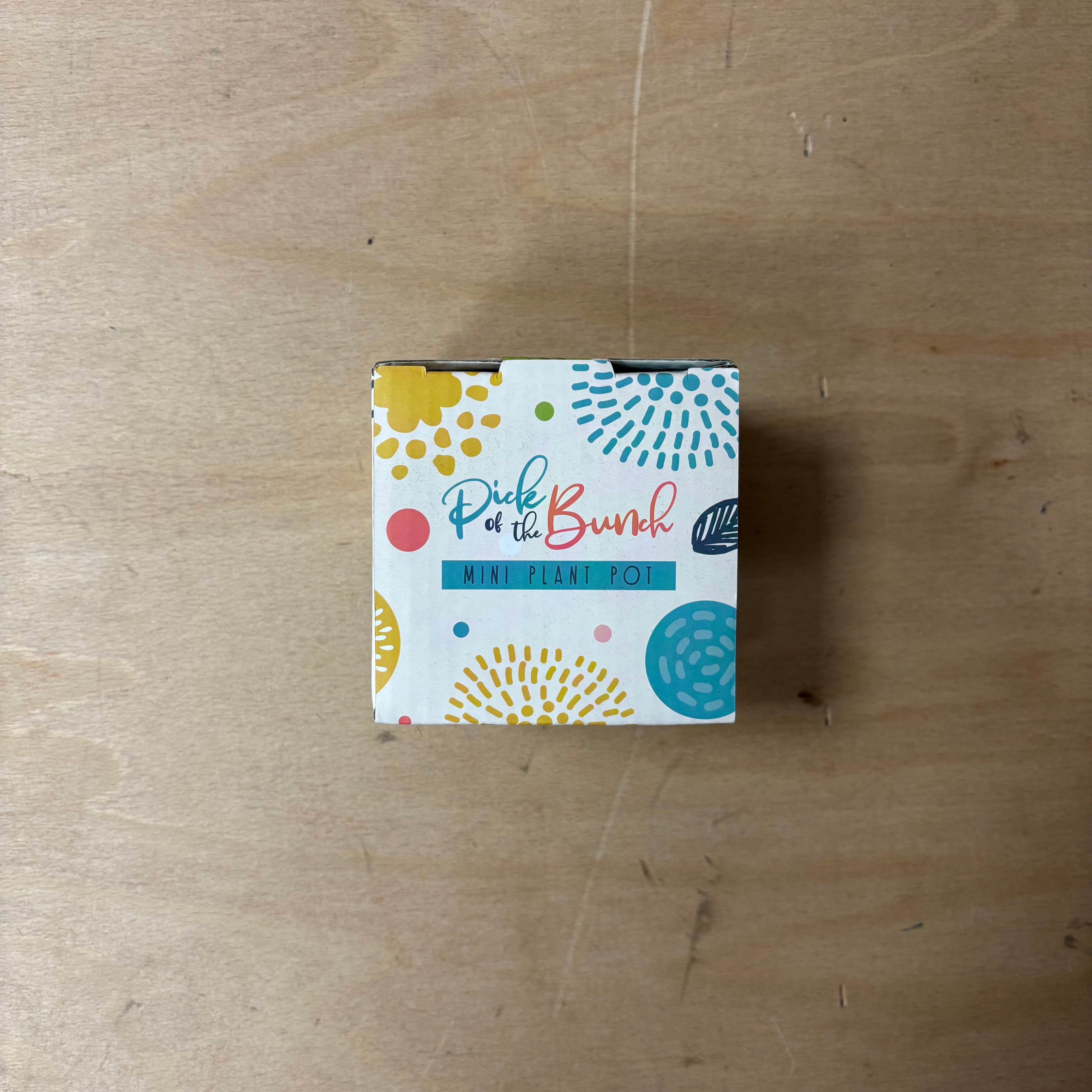 Poppy fields ceramic indoor plant pot