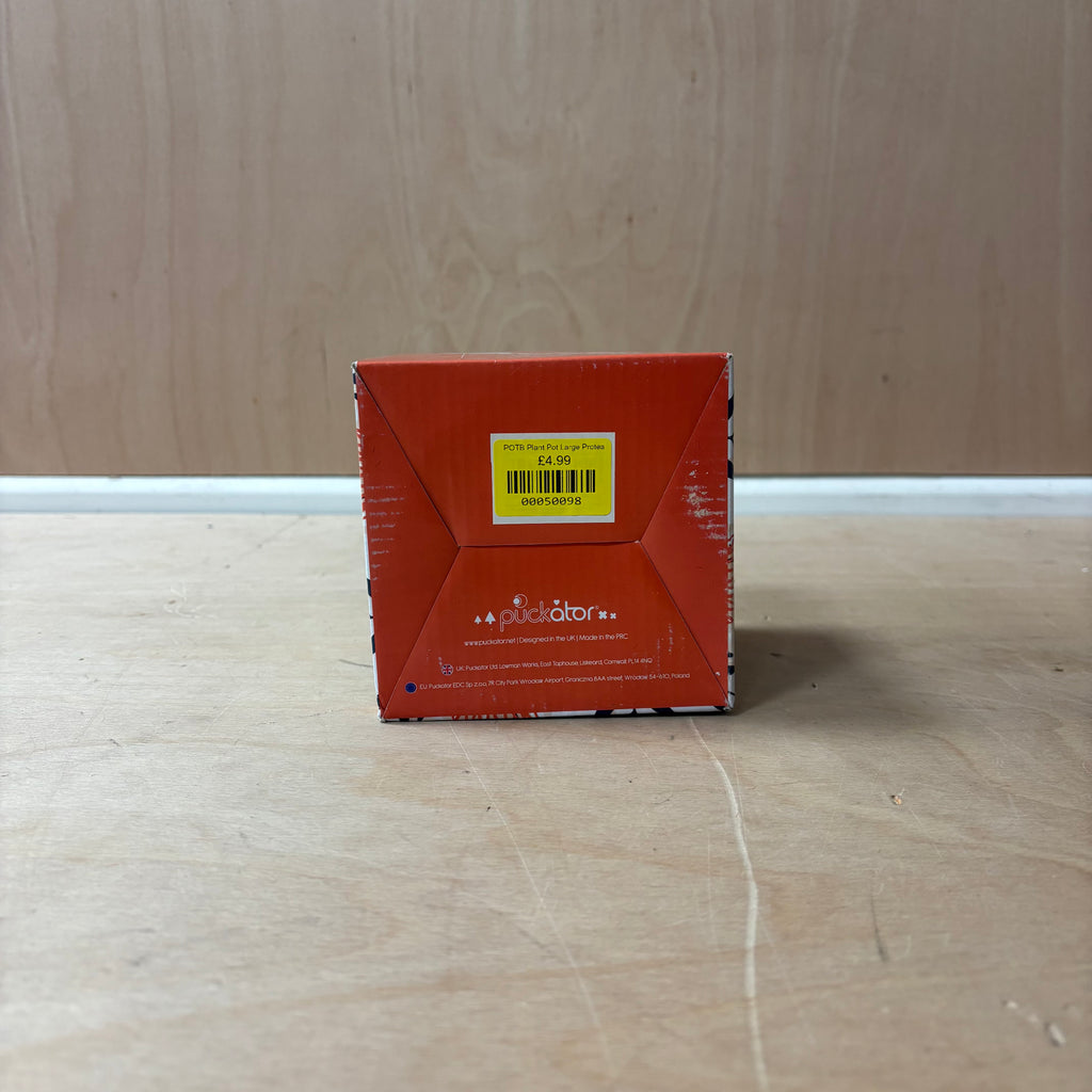 Protea ceramic indoor plant pot