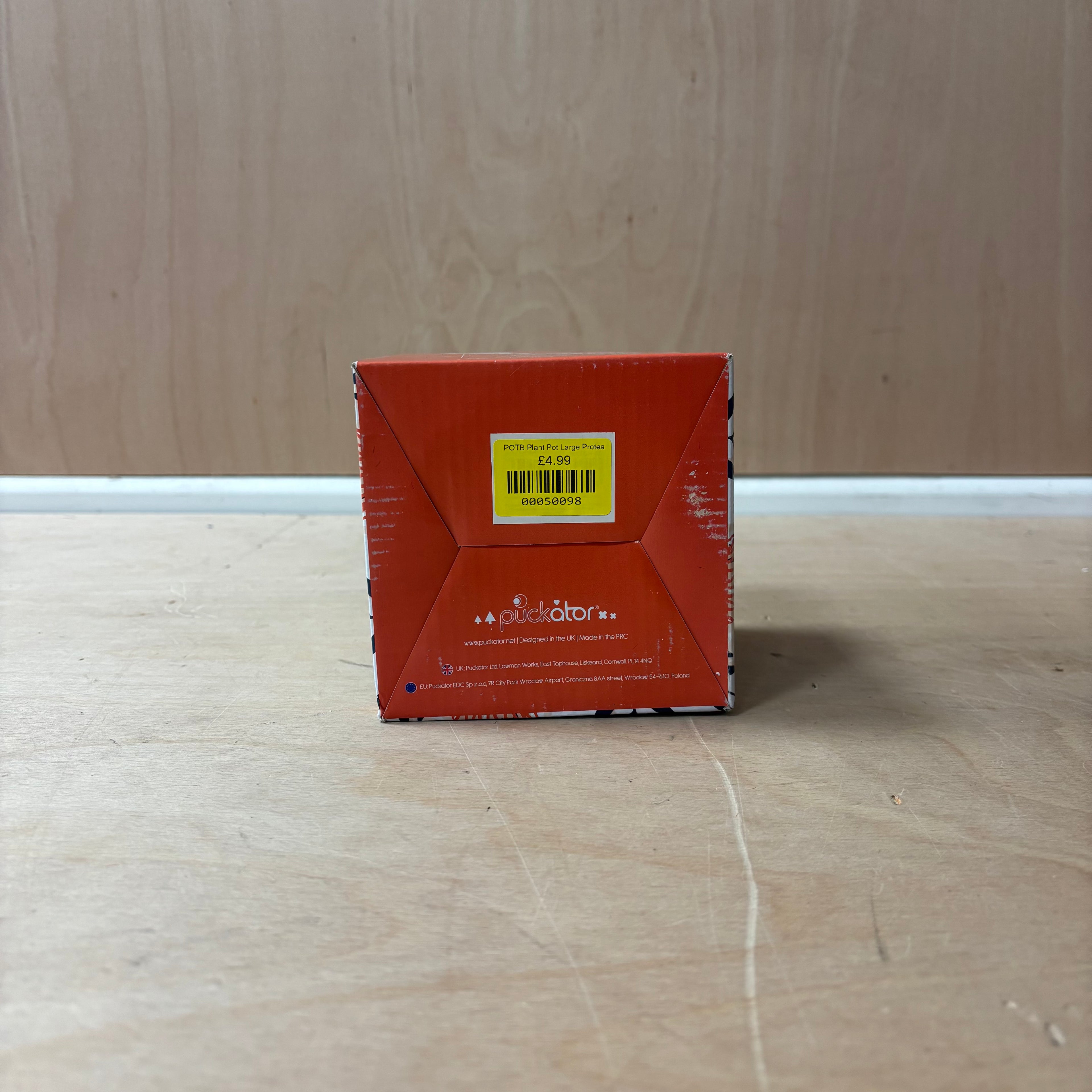 Protea ceramic indoor plant pot