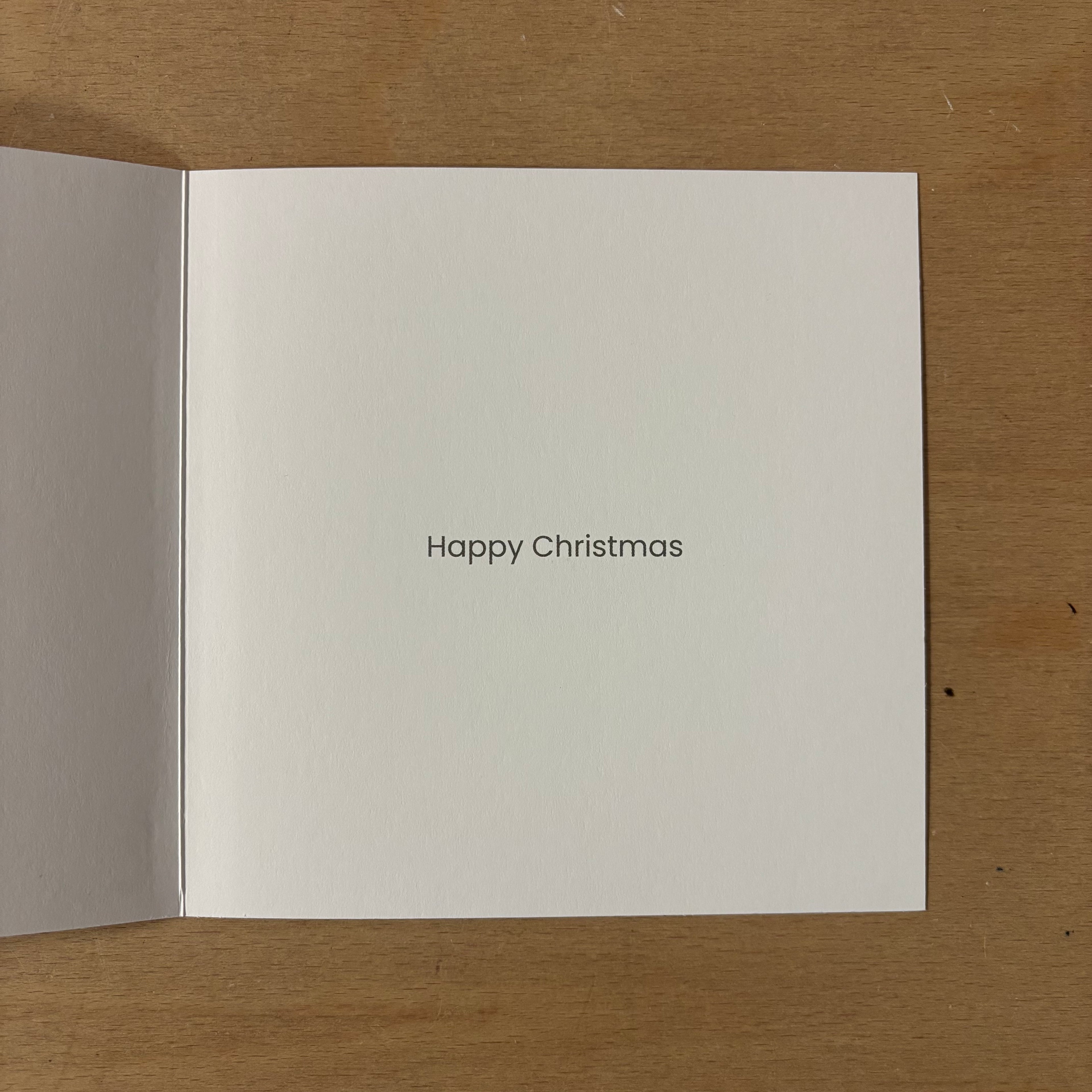 Wrapped in blankets 10 pack christmas cards