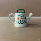 Sass & belle watering can teapot