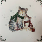 Cosy christmas cats / cosy companion 10 pack christmas cards