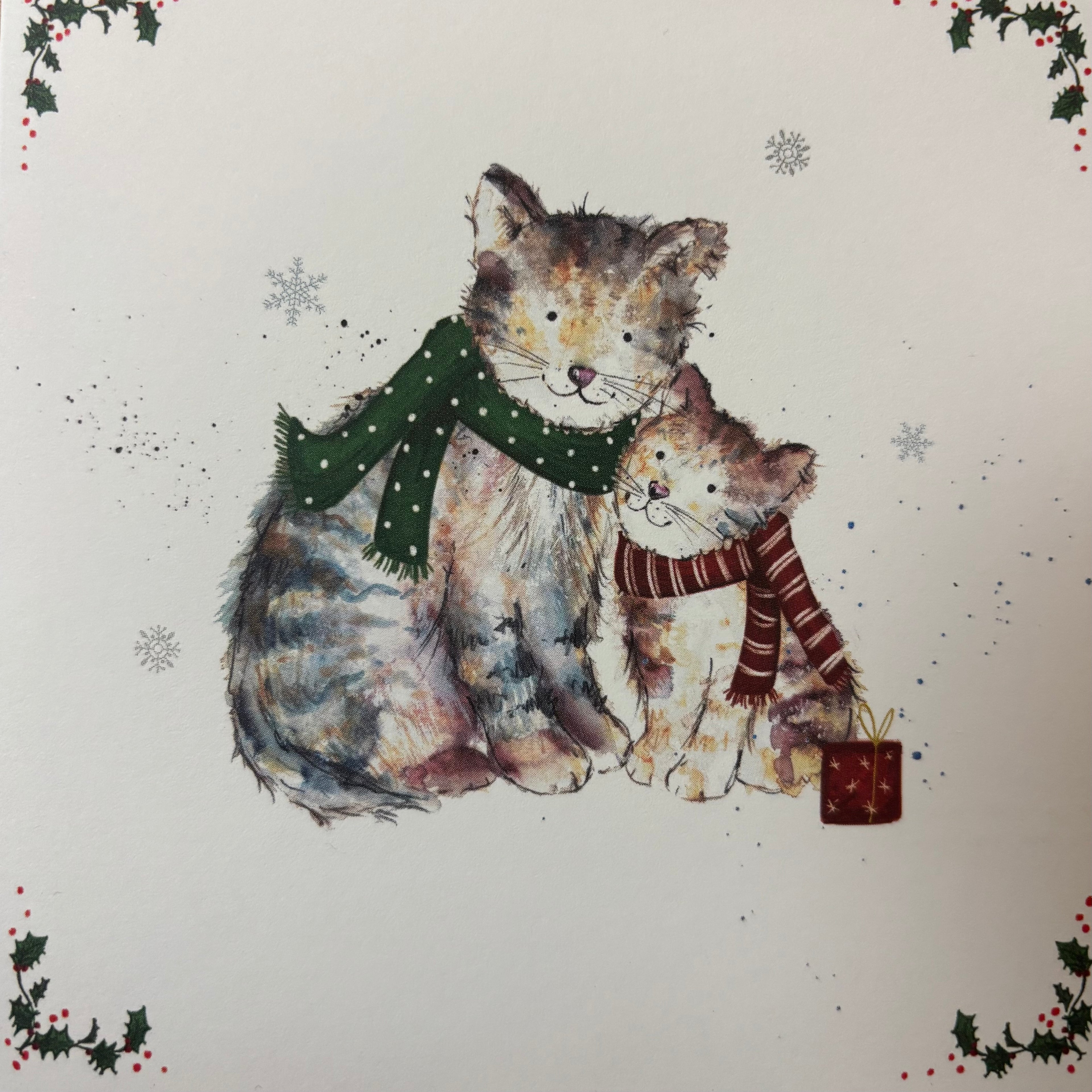 Cosy christmas cats / cosy companion 10 pack christmas cards