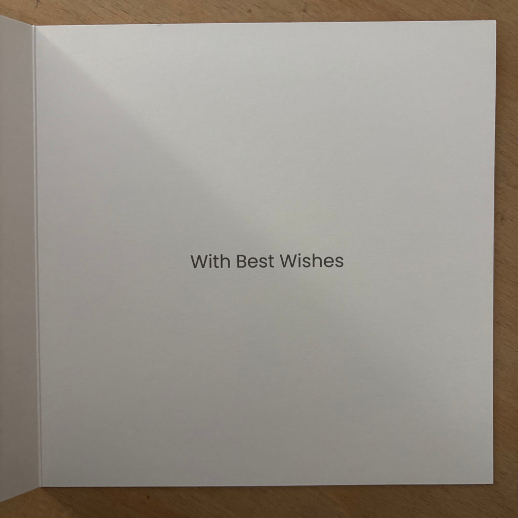 Peace at christmas 10 pack christmas cards