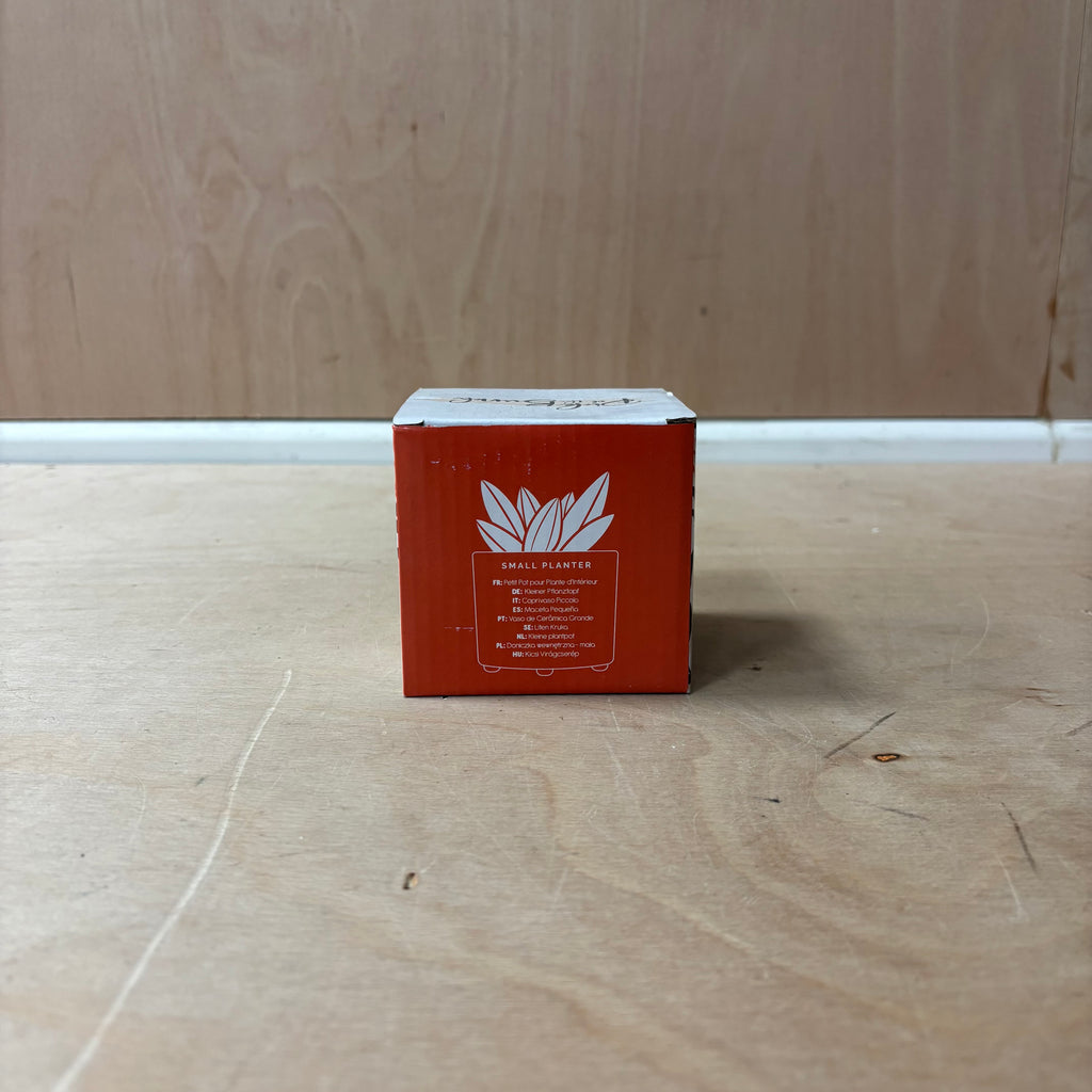 Protea ceramic indoor plant pot