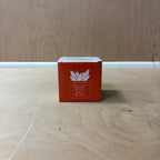 Protea ceramic indoor plant pot