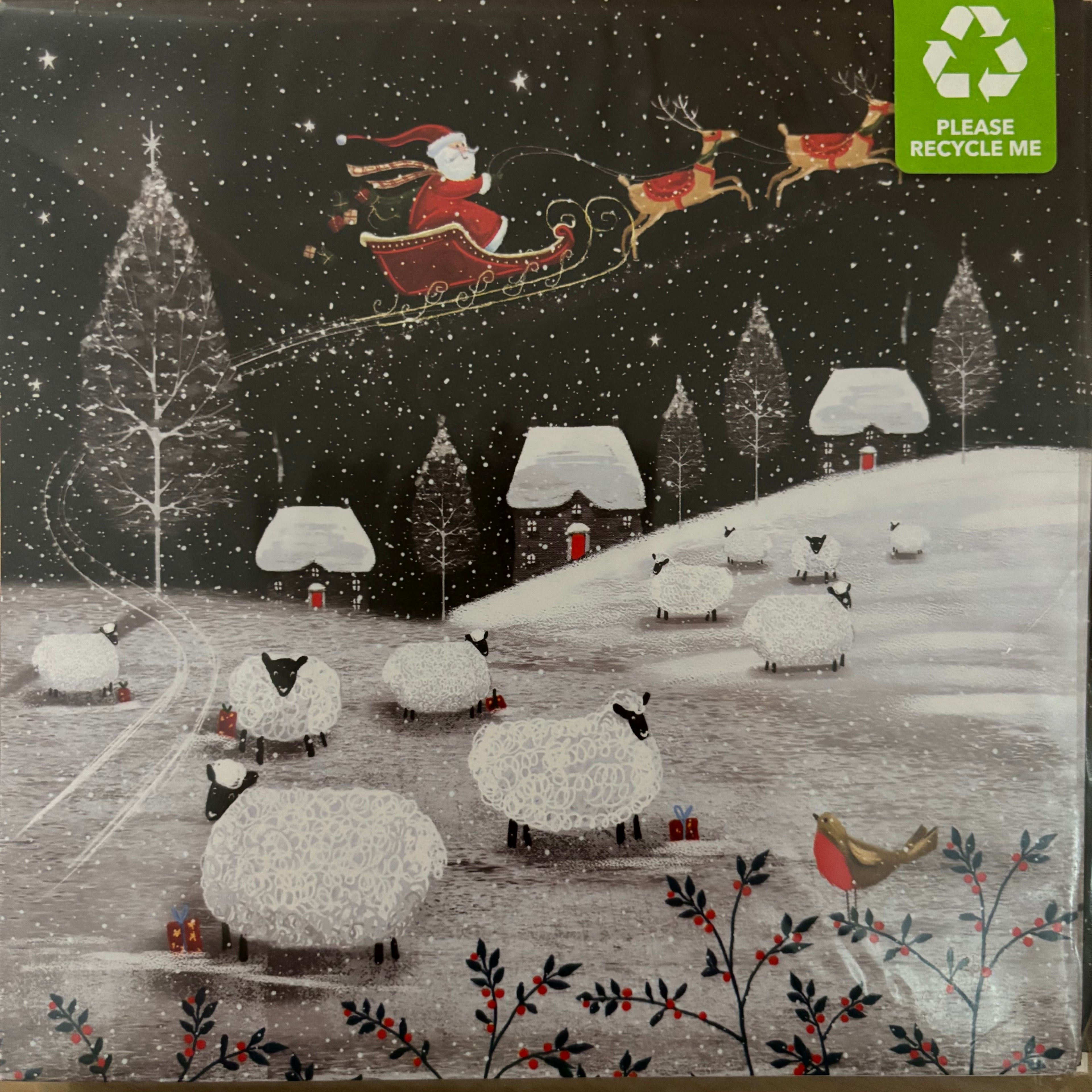 Flying over the fields 10 pack christmas cards