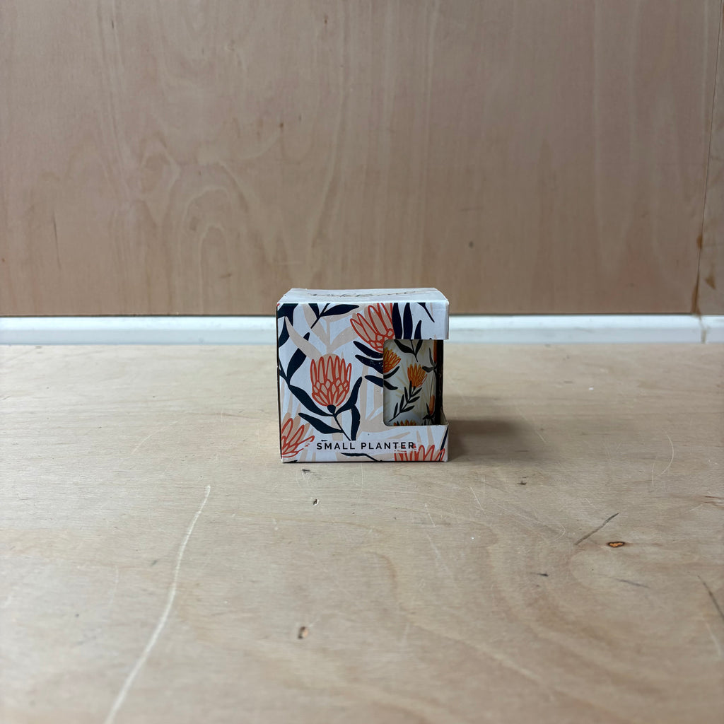 Protea ceramic indoor plant pot