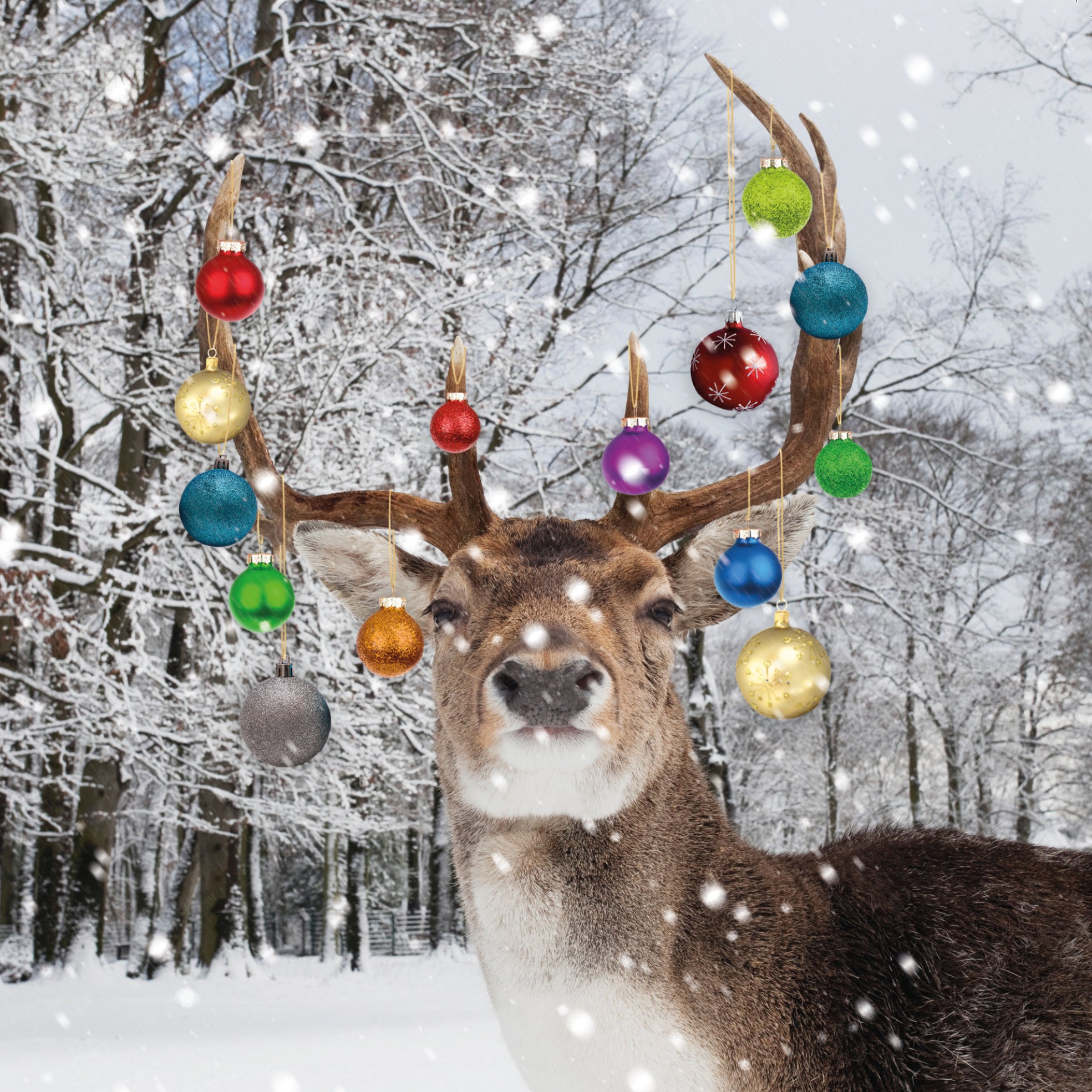 Bauble stag 10 pack christmas cards