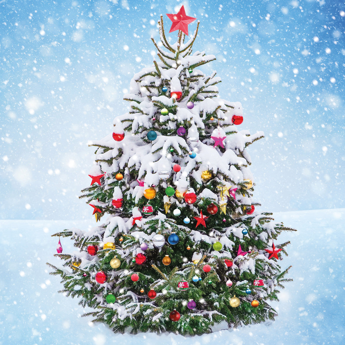 Christmas tree adorned 10 pack christmas cards