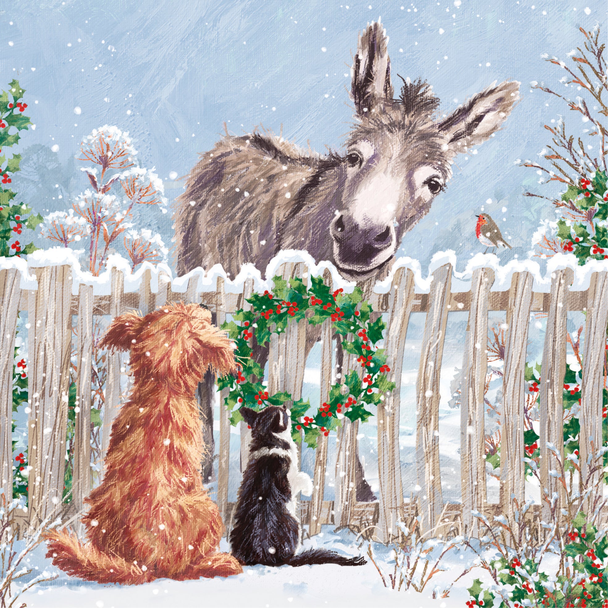 Asinus and friends 10 pack christmas cards