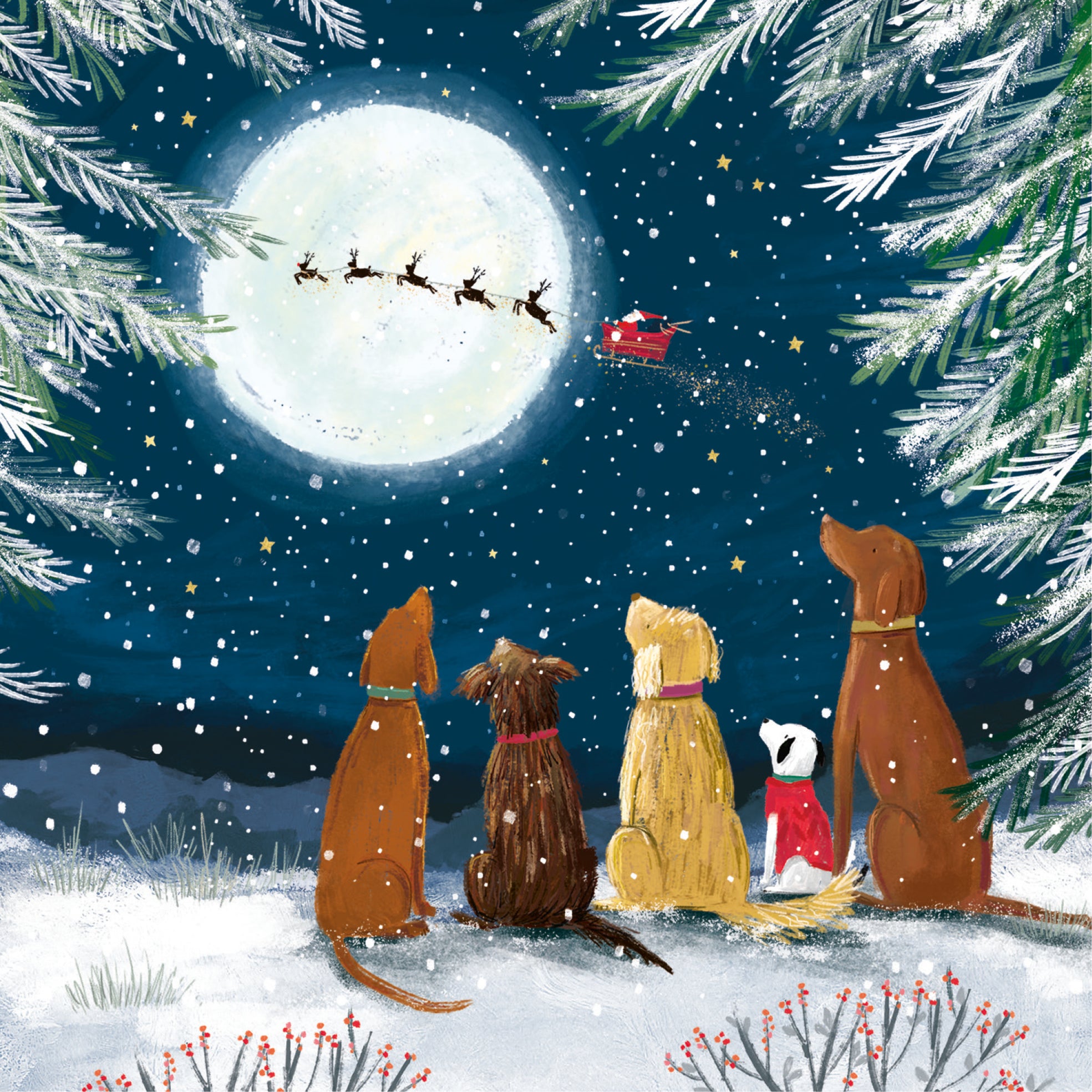 There goes santa 10 pack christmas cards